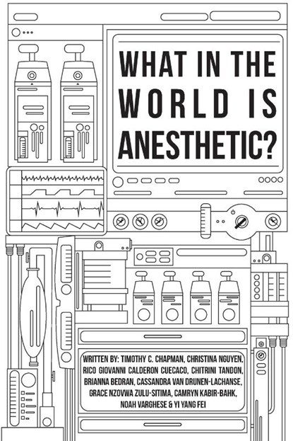 What in the World is Anesthetic, Grace Nzovwa Zulu-Sitima ; Timothy C Chapman ; Christina Nguyen - Paperback - 9781773692319