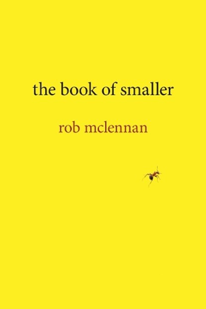 the book of smaller, rob mclennan - Paperback - 9781773852614