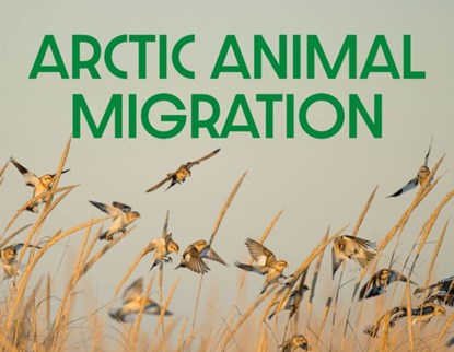 Arctic Animal Migration, Arvaaq Press - Paperback - 9781774506424