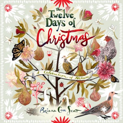 TWELVE DAYS OF CHRISTMAS, BRIANA CORR SCOTT - Gebonden - 9781774710968