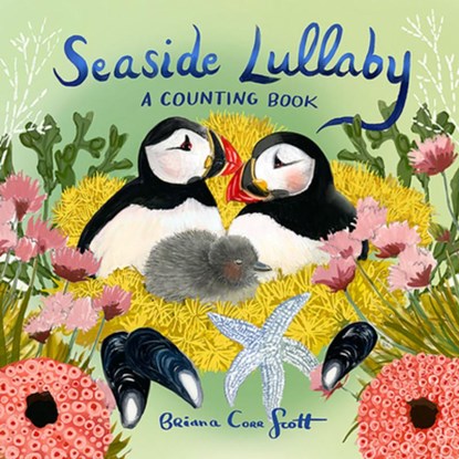 Seaside Lullaby, Briana Corr Scott - Gebonden - 9781774713082