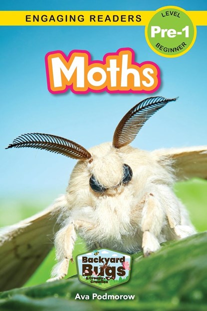 Moths, Ava Podmorow - Paperback - 9781774767139