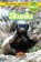 Skunks, Ava Podmorow - Paperback - 9781774767498