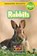 Rabbits, Ava Podmorow - Paperback - 9781774767535