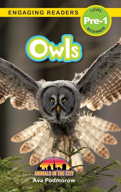 Owls, Ava Podmorow - Gebonden - 9781774767641