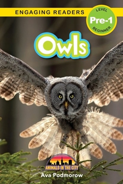 Owls, Ava Podmorow - Paperback - 9781774767658