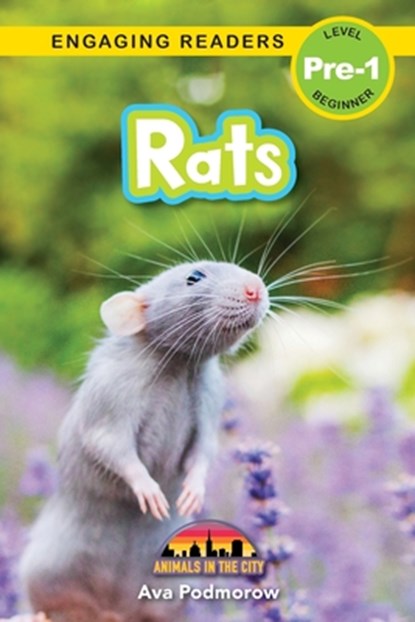 Rats, Ava Podmorow - Paperback - 9781774767696