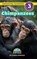 Chimpanzees, Kit Caudron-Robinson - Gebonden - 9781774768167