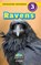 Ravens, Aj Knight - Gebonden - 9781774768402