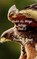 The Hawk, BACON,  Ronna M. - Paperback - 9781775102618