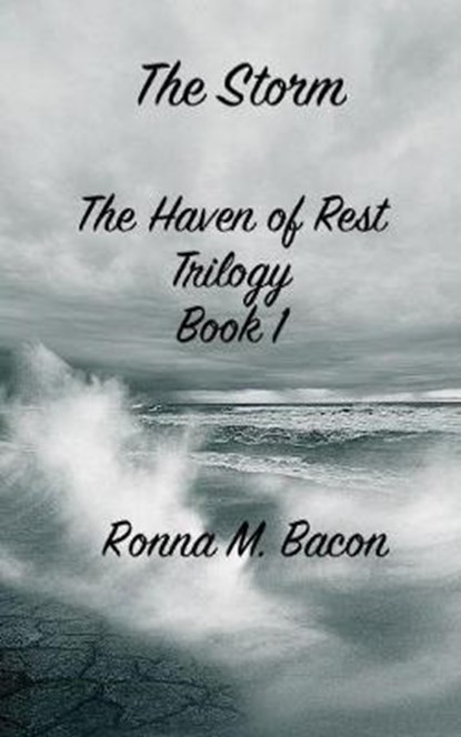 The Storm, BACON,  Ronna M. - Paperback - 9781775102649
