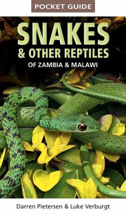 Pocket Guide to Snakes & Other Reptiles of Zambia and Malawi, Darren Pietersen ; Luke Verburgt - Paperback - 9781775847168