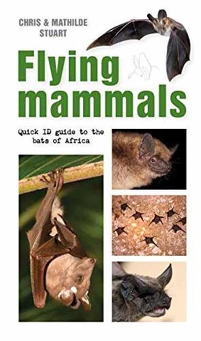 Flying Mammals, STUART,  Chris ; Stuart, Mathilde - Paperback - 9781775847281
