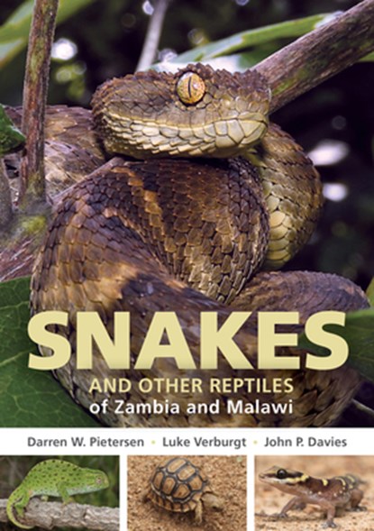 Field Guide to Snakes and other Reptiles of Zambia and Malawi, Darren W. Pietersen ; Luke Verburgt - Paperback - 9781775847373
