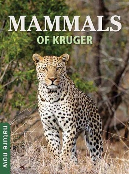 Mammals of Kruger, Joan Young - Paperback - 9781775848196