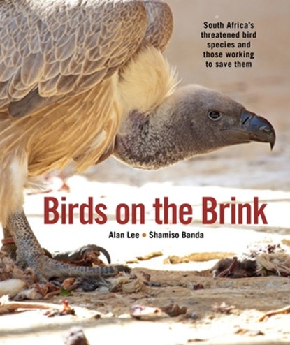 Birds on the Brink, Alan Lee ; Shamiso Banda - Paperback - 9781775848738