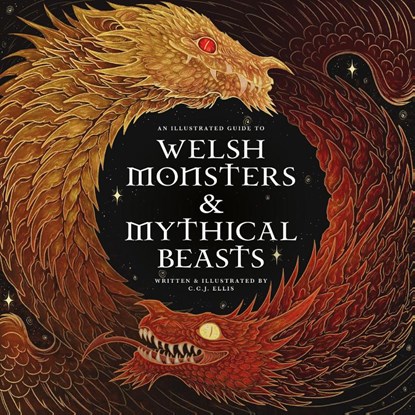 Welsh Monsters & Mythical Beasts, Rowynn Ellis - Gebonden - 9781777081775