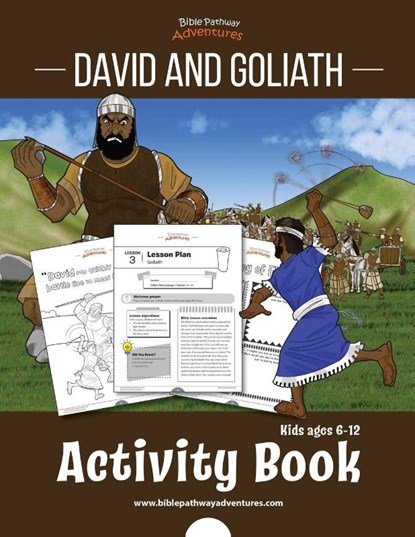 David and Goliath Activity Book, Pip Reid - Paperback - 9781777160142