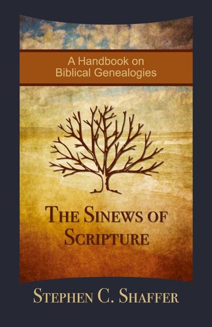 The Sinews of Scripture, Stephen C. Shaffer - Paperback - 9781777978792