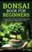 Bonsai Book for Beginners, Robert Smith - Gebonden - 9781778131844