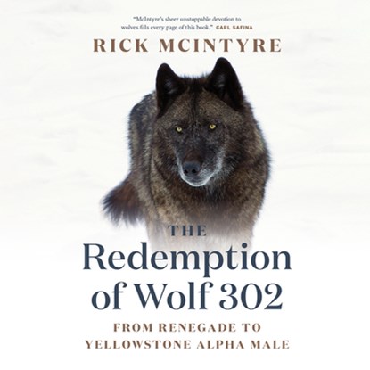 The Redemption of Wolf 302, Rick McIntyre - Paperback - 9781778400759