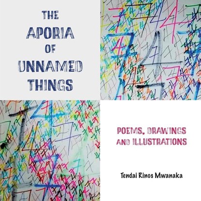 The Aporia of Unnamed Things, Tendai Rinos Mwanaka - Paperback - 9781779331434