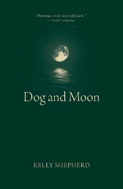 Dog and Moon, Kelly Shepherd - Paperback - 9781779400383