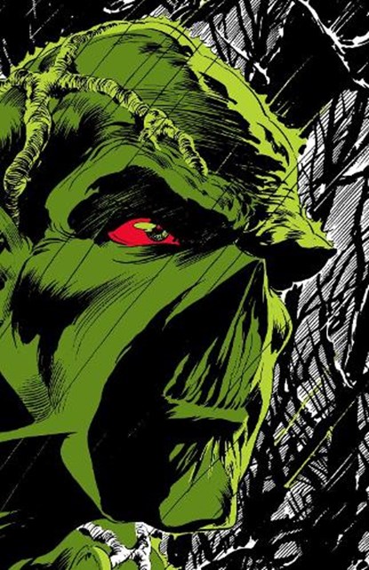 Absolute Swamp Thing by Len Wein and Bernie Wrightson, Len Wein ; Bernie Wrightson - Gebonden - 9781779517302