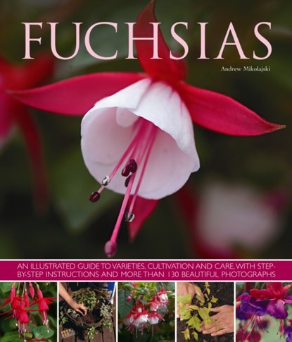 Fuchsias, Andrew Mikolajski - Paperback - 9781780192376