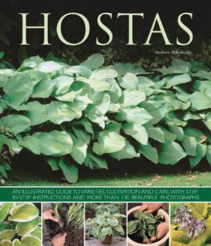 Hostas, Andrew Mikolajski - Paperback - 9781780192383