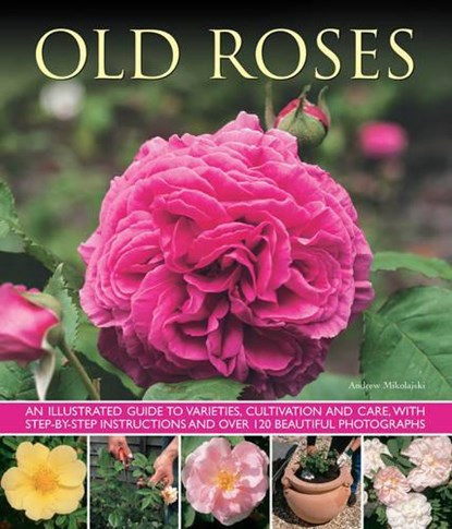 Old Fashioned Roses, Andrew Mikolajski - Paperback - 9781780192413