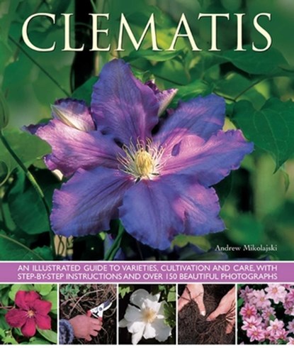 Clematis, Andrew Mikolajski - Paperback - 9781780192512