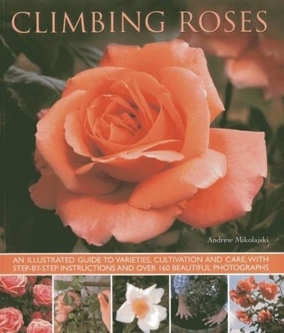 Climbing Roses, Andrew Mikolajski - Paperback - 9781780192529