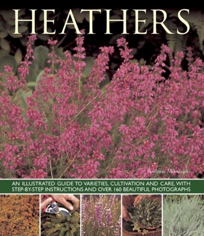 Heathers, Andrew Mikolajski - Paperback - 9781780192642