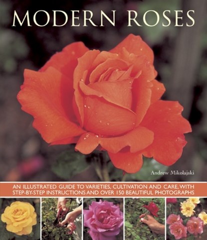 Modern Roses, Andrew Mikolajski - Paperback - 9781780192727