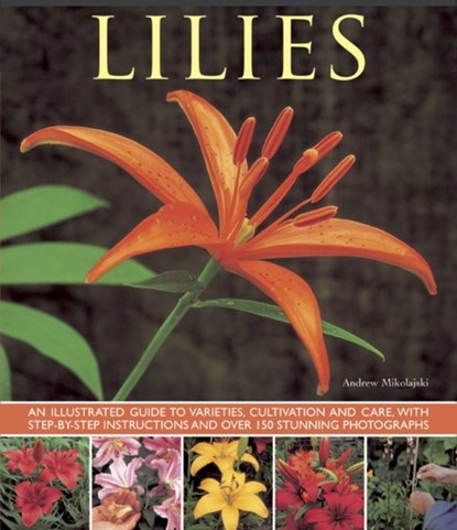 Lilies, Andrew Mikolajski - Paperback - 9781780192857