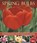 Spring Bulbs, Mchoy Peter - Paperback - 9781780193076