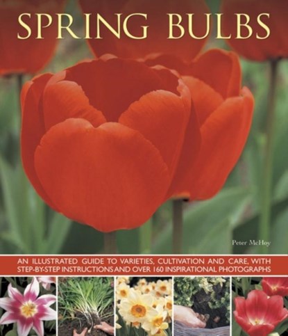 Spring Bulbs, Mchoy Peter - Paperback - 9781780193076