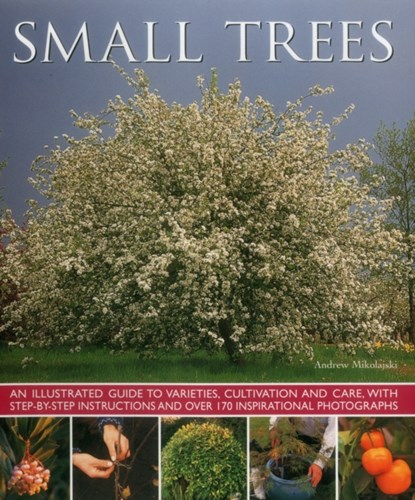 Small Trees, Mikolajski Andrew - Paperback - 9781780193212