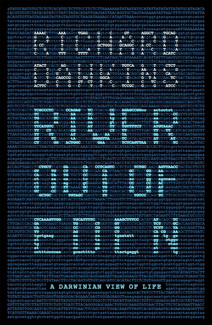 River Out of Eden, Prof Richard Dawkins ; Richard Dawkins - Paperback - 9781780226897