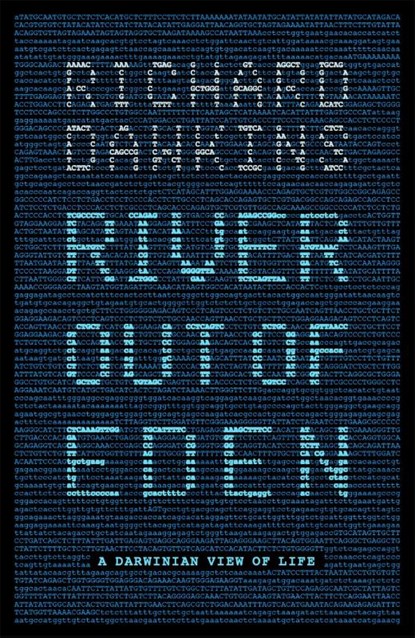 River Out of Eden, Prof Richard Dawkins ; Richard Dawkins - Paperback - 9781780226897