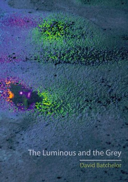 The Luminous and the Grey, David Batchelor - Paperback - 9781780232805