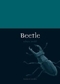 Beetle | Adam Dodd | 