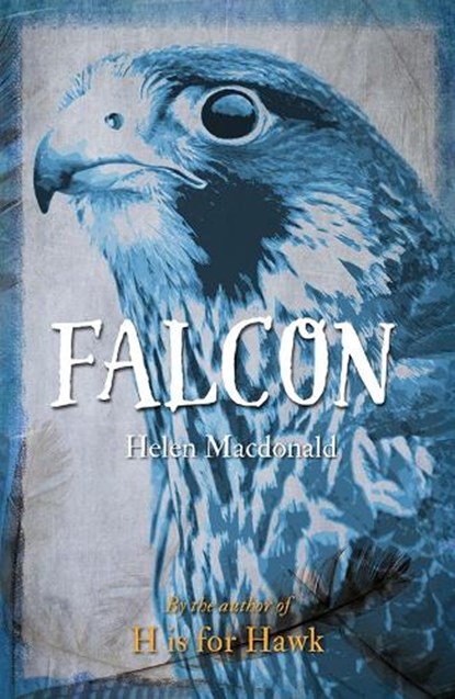 Falcon, Helen Macdonald - Paperback - 9781780236414