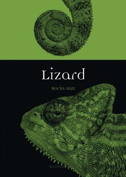 Lizard, Boria Sax - Paperback - 9781780238289