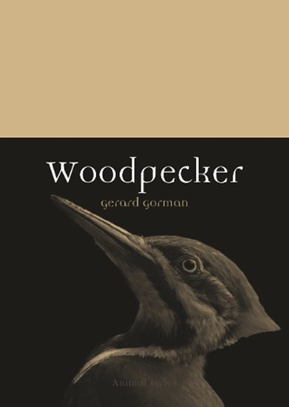 Woodpecker, Gerard Gorman - Paperback - 9781780238296