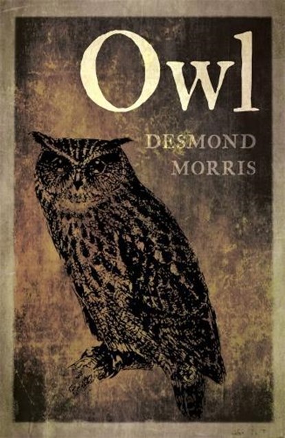 Owl, Desmond Morris - Paperback - 9781780239163