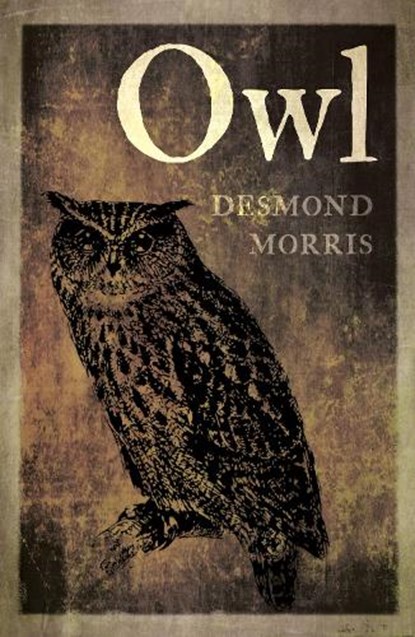 Owl, Desmond Morris - Paperback - 9781780239163