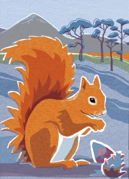 Nature Notebook: Red Squirrel, Jane Smith - Overig - 9781780278223