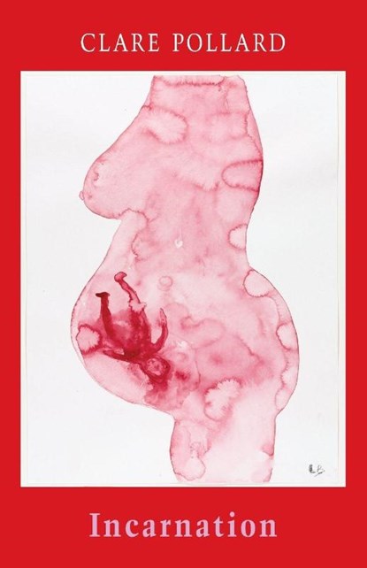 Incarnation, Clare Pollard - Paperback - 9781780373379